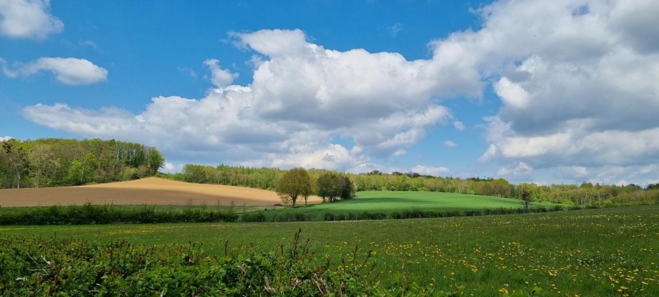 Apartament Landgoed Kasteel Terborgh Schinnen Zewnętrze zdjęcie